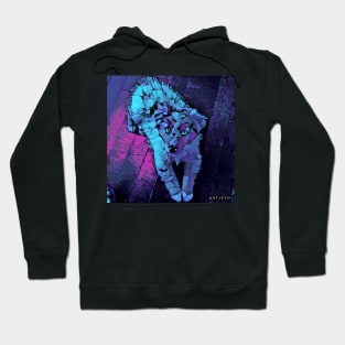 Mosaic Crystal Dog Hoodie